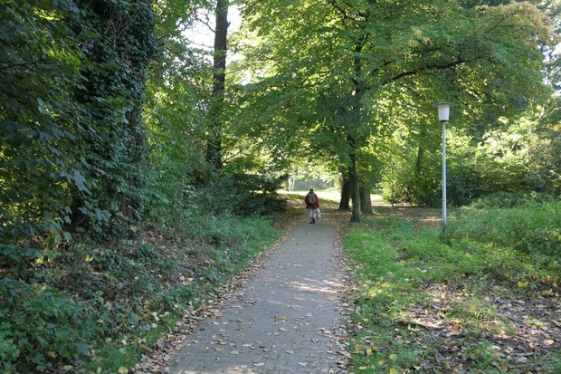 Ein Mann mit Rucksack geht auf einem schmalen Weg der beidseits von grünen Bäumen gesäumt wird. Rechts von ihm eine Laterne.