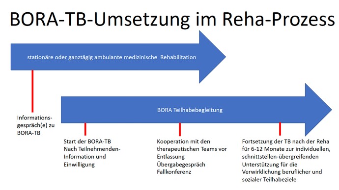 Grafik zur Umsetzung von BORA-TB