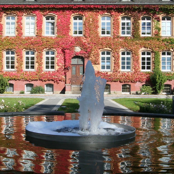 Eine historische Fassade mit rotem Weinlaub bewachsen. Davor ein Springbrunnen.