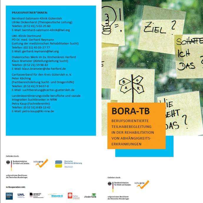 Flyer Bora